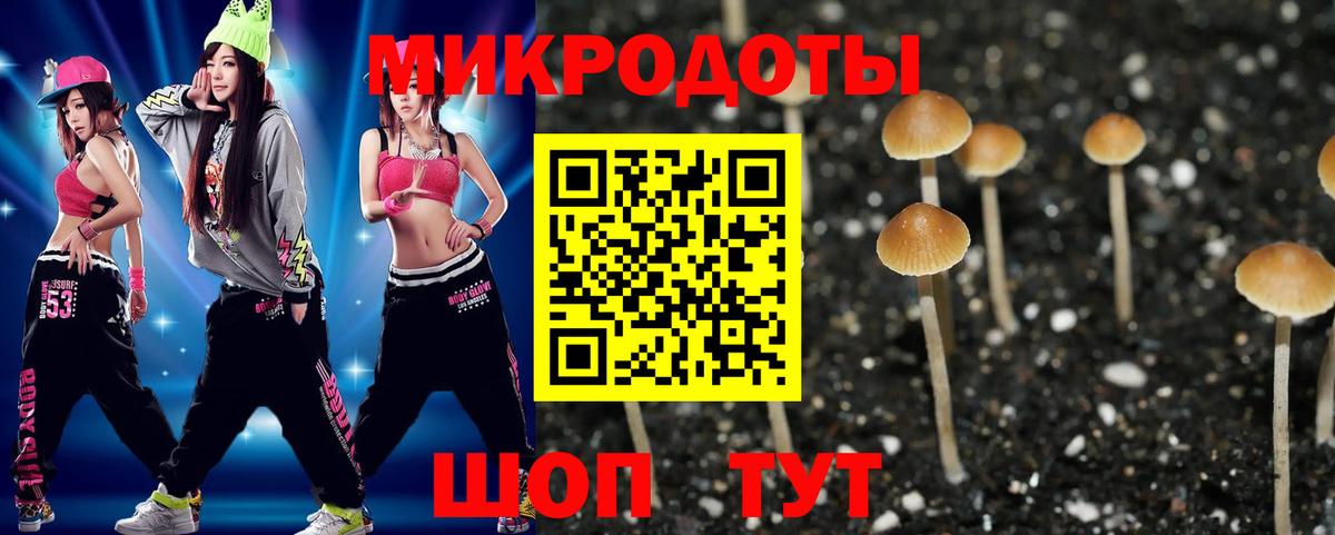 наркошоп  Вход с VPN  Галлюциногенные грибы MAGIC MUSHROOMS  Дзержинск  Псилоцибиновые грибы прущие грибы 