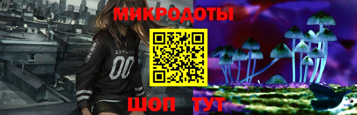 Галлюциногенные грибы Psilocybine cubensis Дзержинск